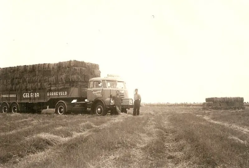 Historische foto Van Reenen, 4